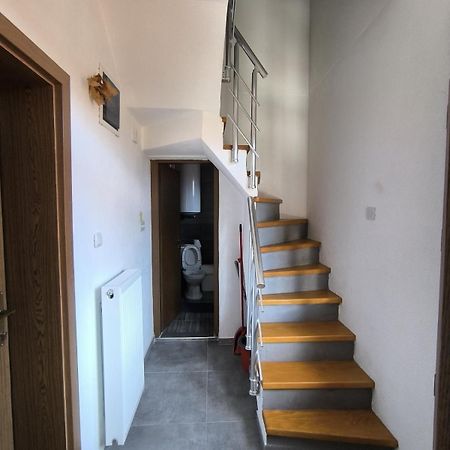 Mountain House - Brezovica Apartment ภายนอก รูปภาพ